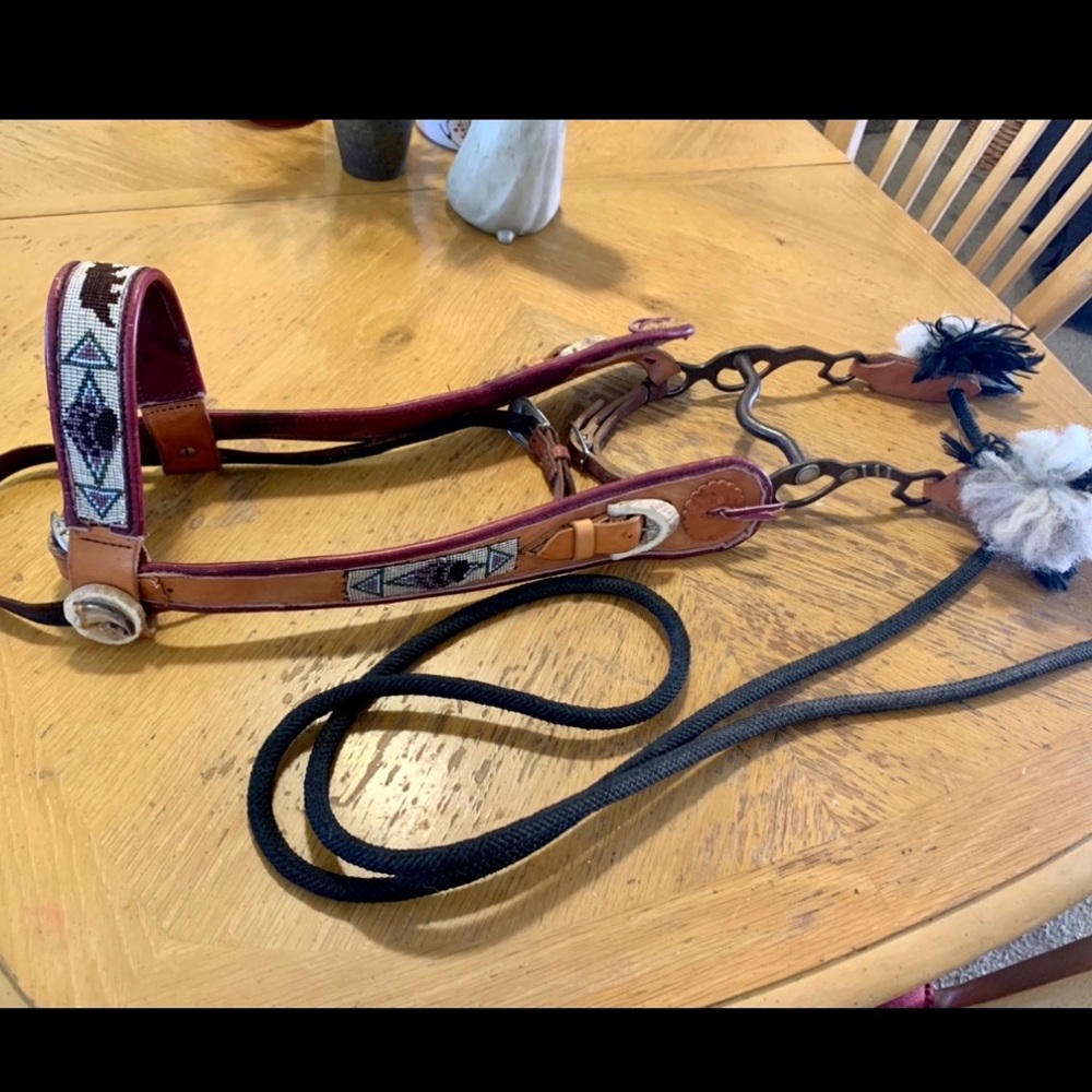 Handcrafted Leather Horse Bridle with Beaded Accents bit and reins is functional